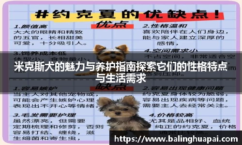 米克斯犬的魅力与养护指南探索它们的性格特点与生活需求