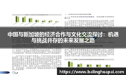 中国与新加坡的经济合作与文化交流探讨：机遇与挑战并存的未来发展之路